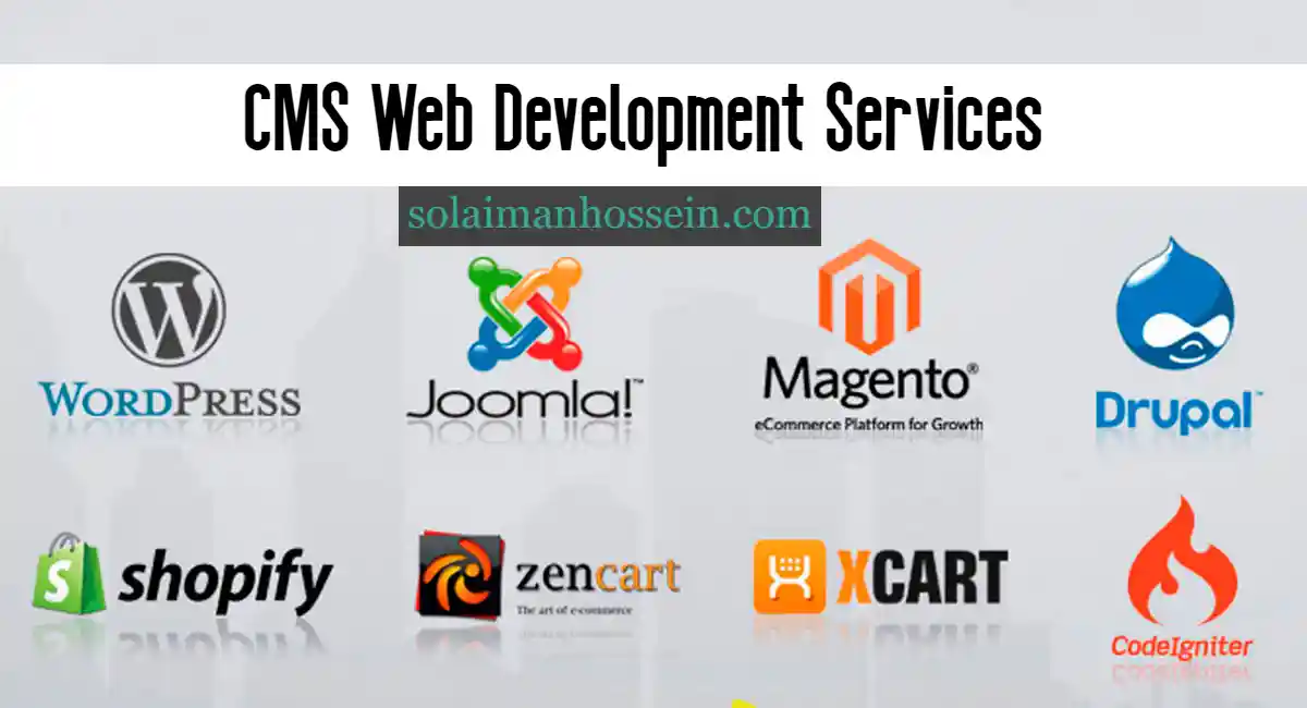 CMS Web Development